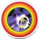 beem